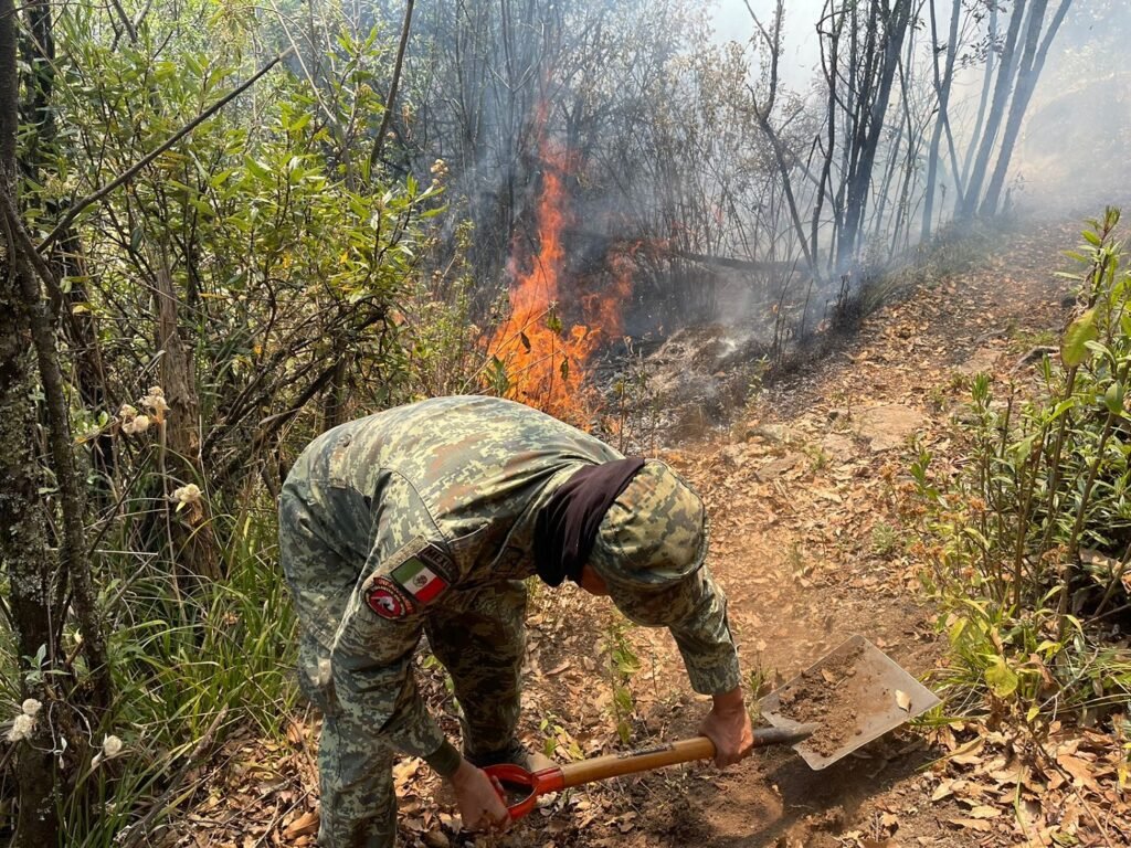 Combate de incendios en EDOMEX. 